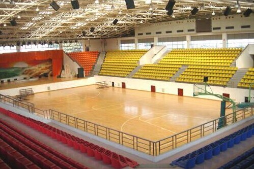 運動木地板 運動木地板