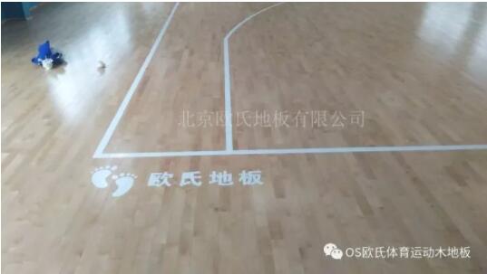 天津長榮科技集團體育館木地板成功案例 天津長榮科技集團體育館木地板成功案例