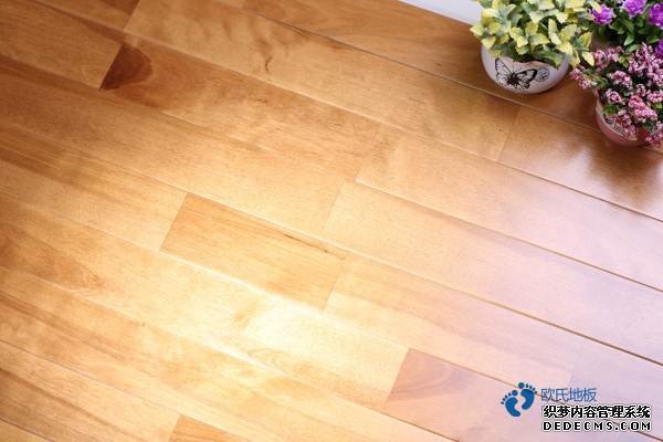 訓(xùn)練館籃球館地板翻新